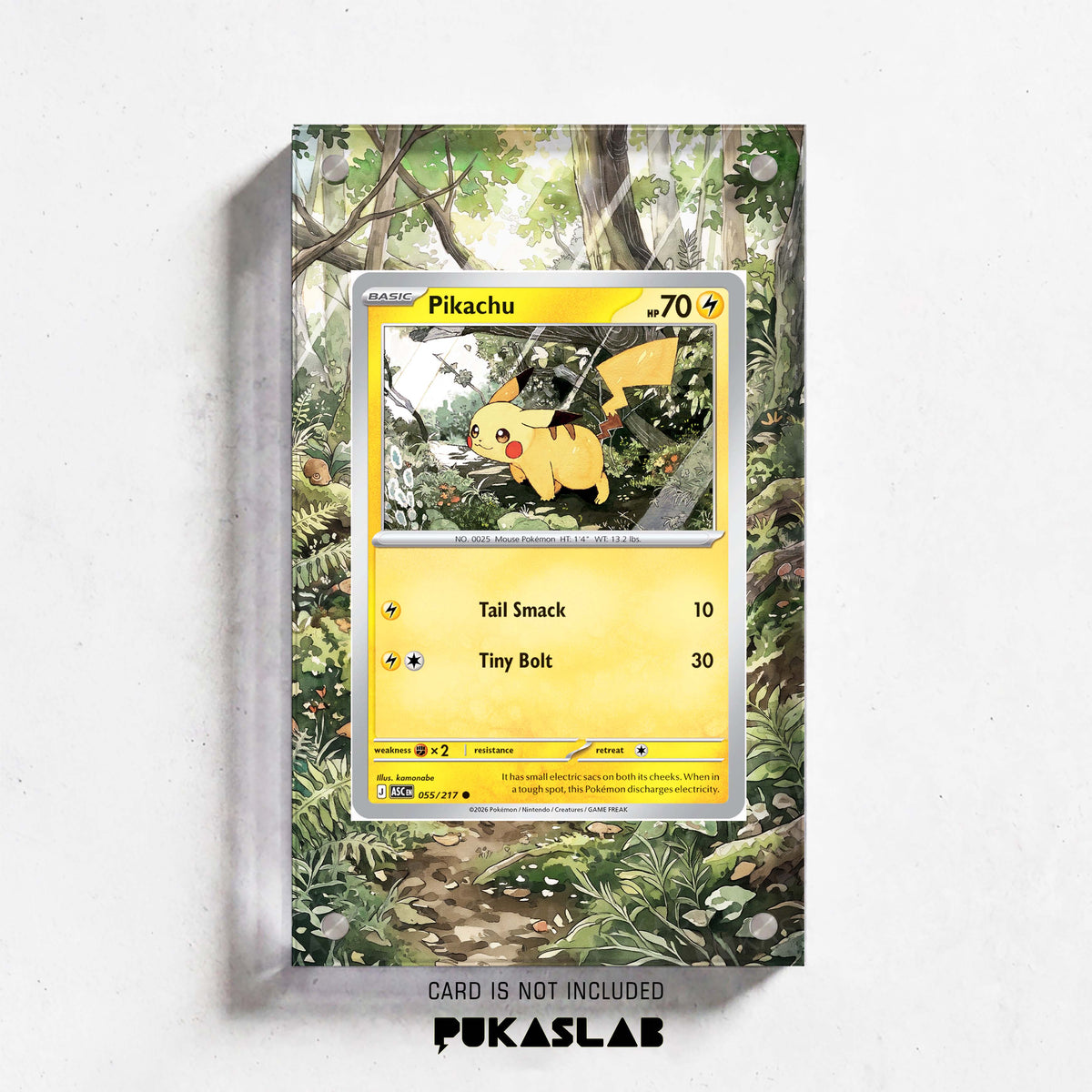 Pikachu 55 Extended Art - Pukaslab