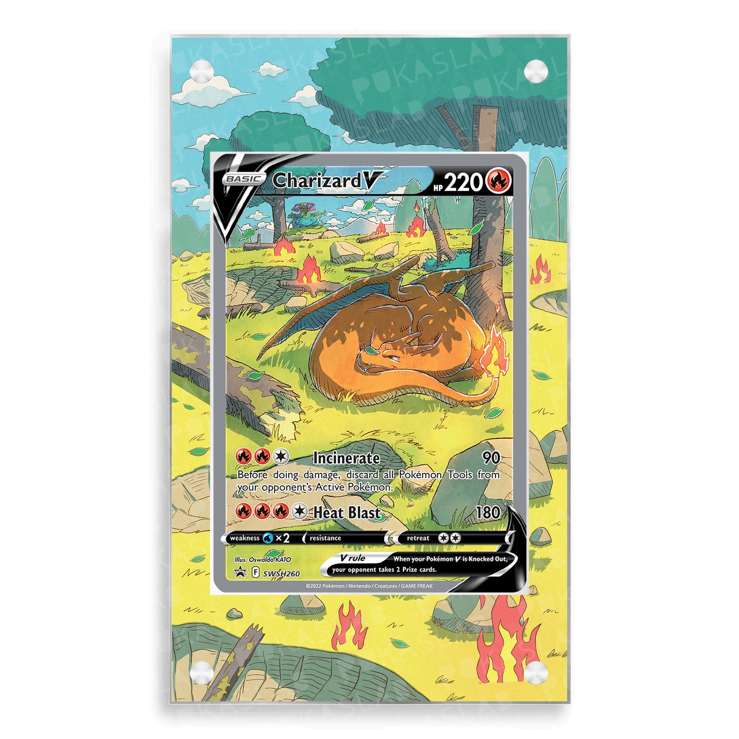 Charizard SWSH260 Extended Art - Pukaslab