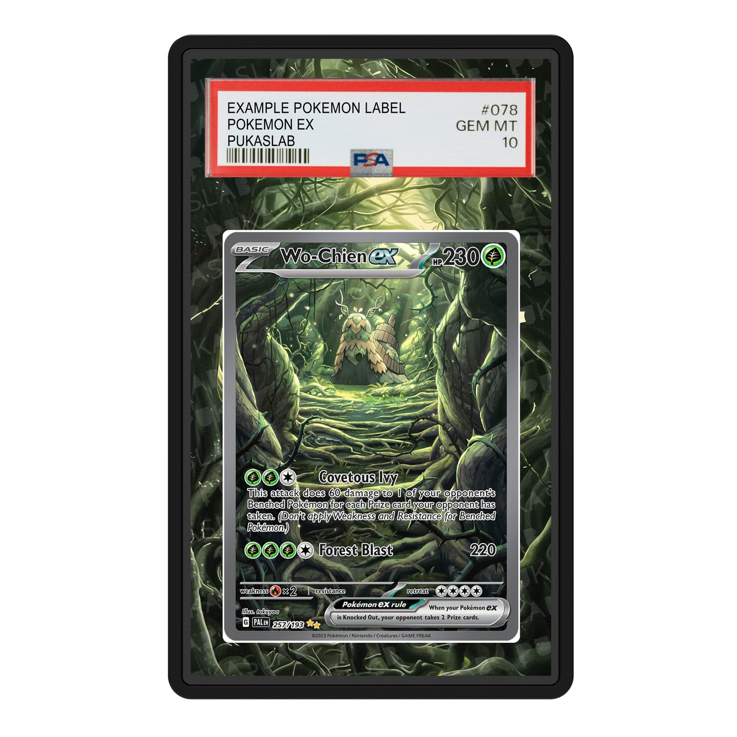Wo-Chien Ex 257/193 Psa Slab Extended Art - Pukaslab
