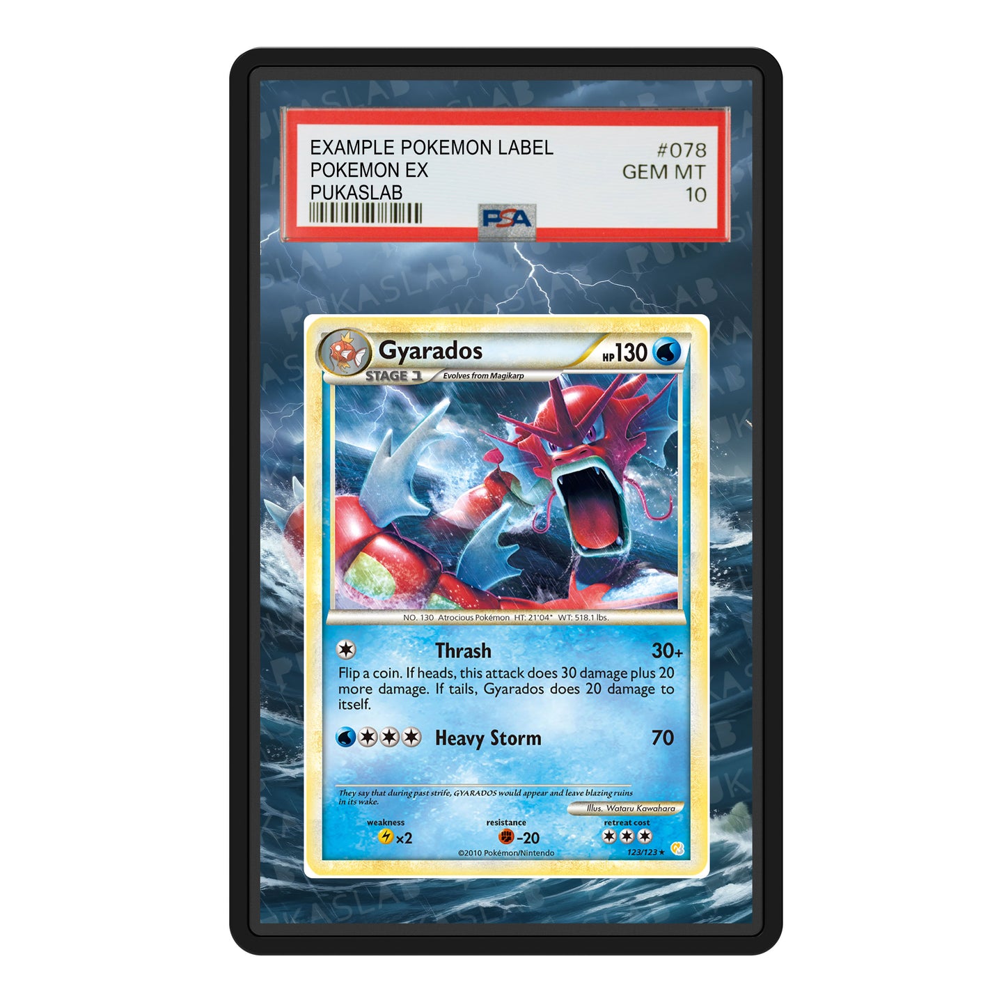 Gyarados 123/123 Psa Slab Extended Art - Pukaslab