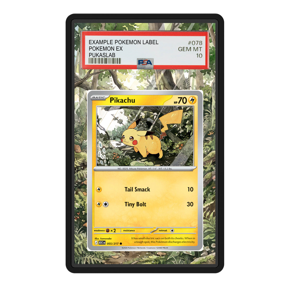 Pikachu 55 Psa Slab Extended Art - Pukaslab