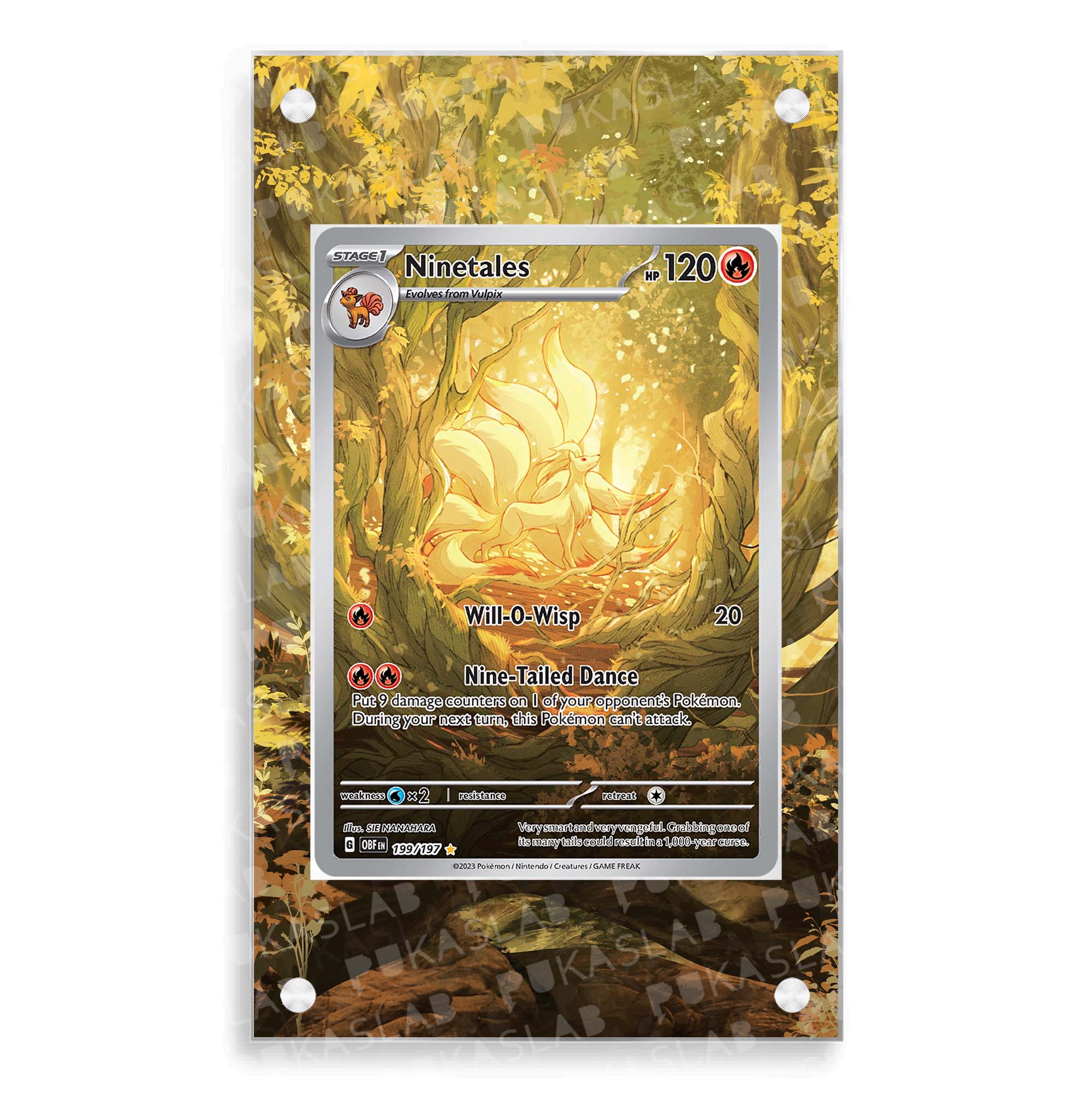 Obsidian Flames Set | Pokemon Extended Art Case – PukaSlab