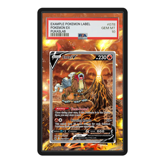 Entei V GG36/GG70 Psa Slab Extended Art - Pukaslab