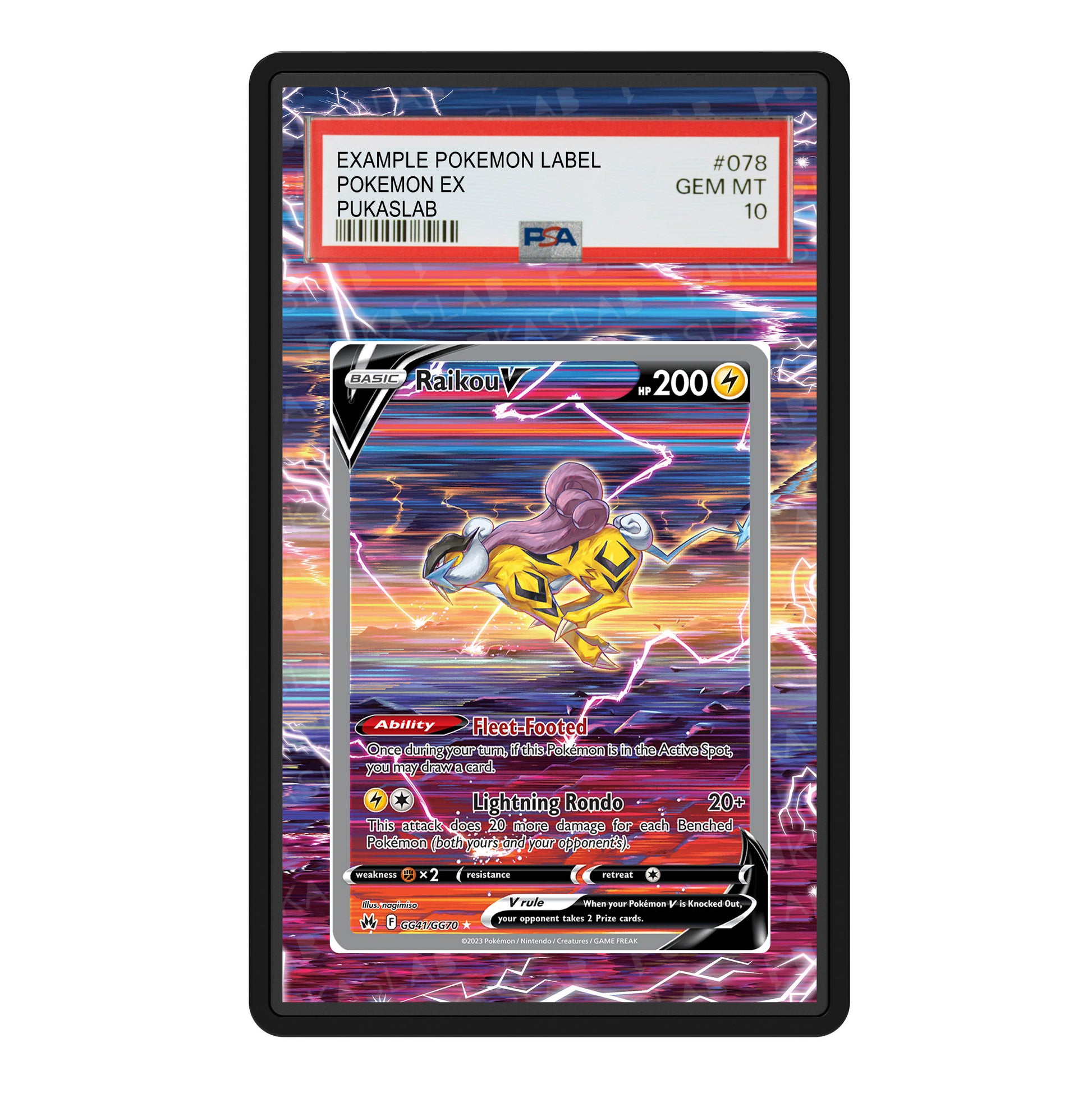 Raikou V GG41/GG70 Psa Slab Extended Art - Pukaslab