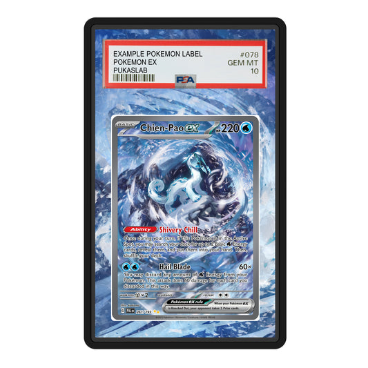 Chien-Pao 261/193 Psa Slab Extended Art - Pukaslab