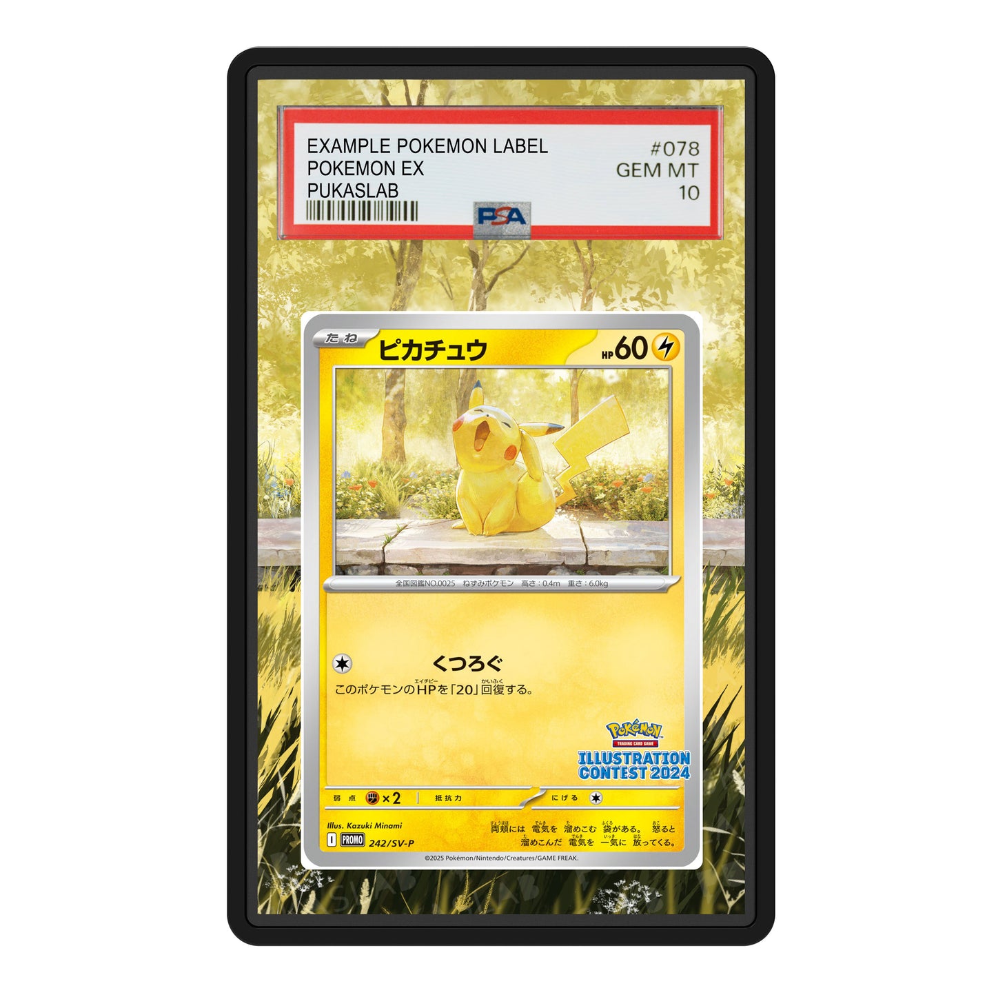 Pikachu Promo Contest 2024 242/ SV-P Psa Slab Extended Art - Pukaslab