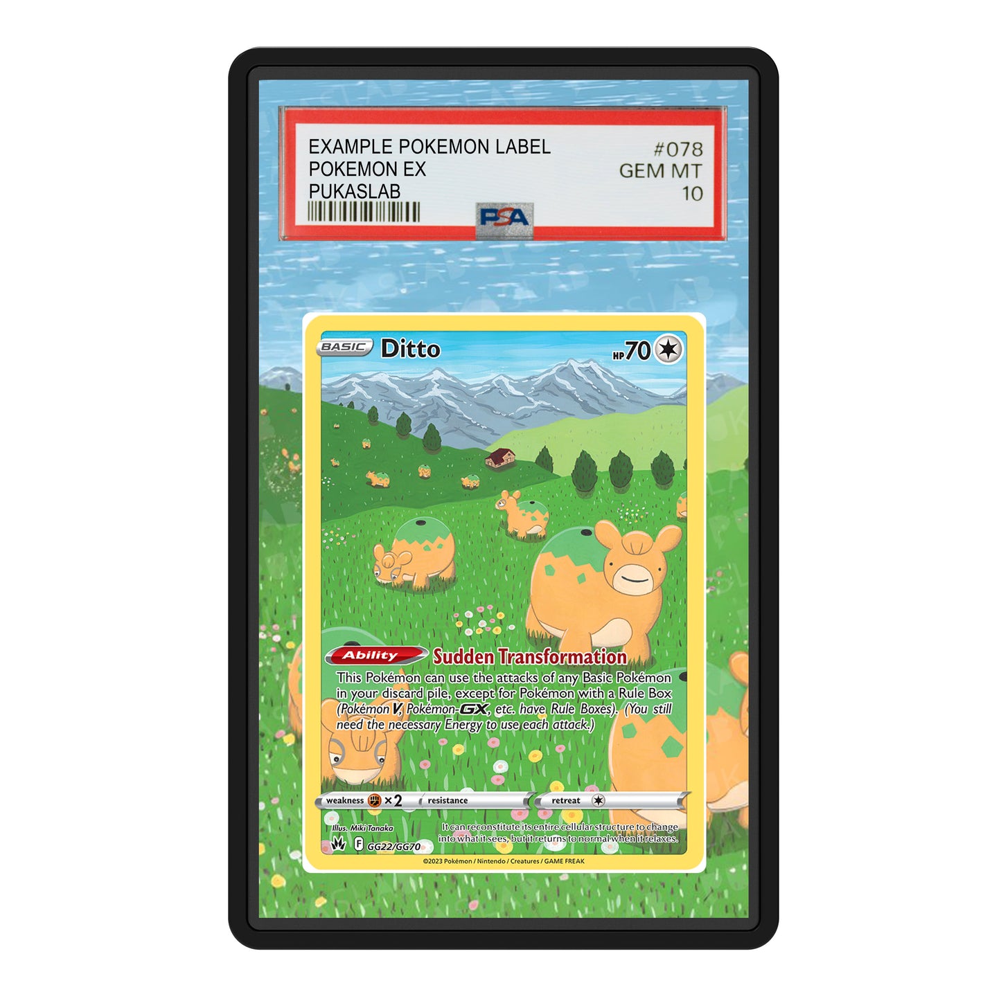 Ditto GG22/GG70 Psa Slab Extended Art - Pukaslab