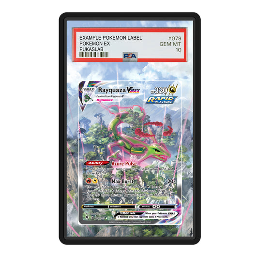 Rayquaza Vmax  218/203 Psa Slab Extended Art - Pukaslab