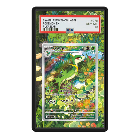 Servine 088/086 Psa Slab Extended Art - Pukaslab