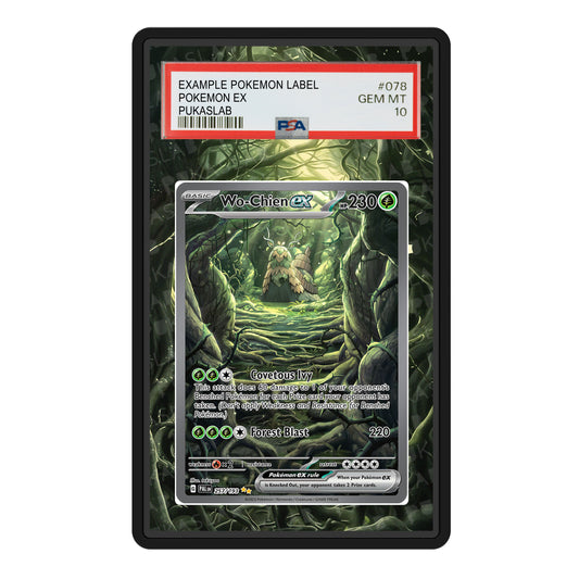Wo-Chien Ex 257/193 Psa Slab Extended Art - Pukaslab