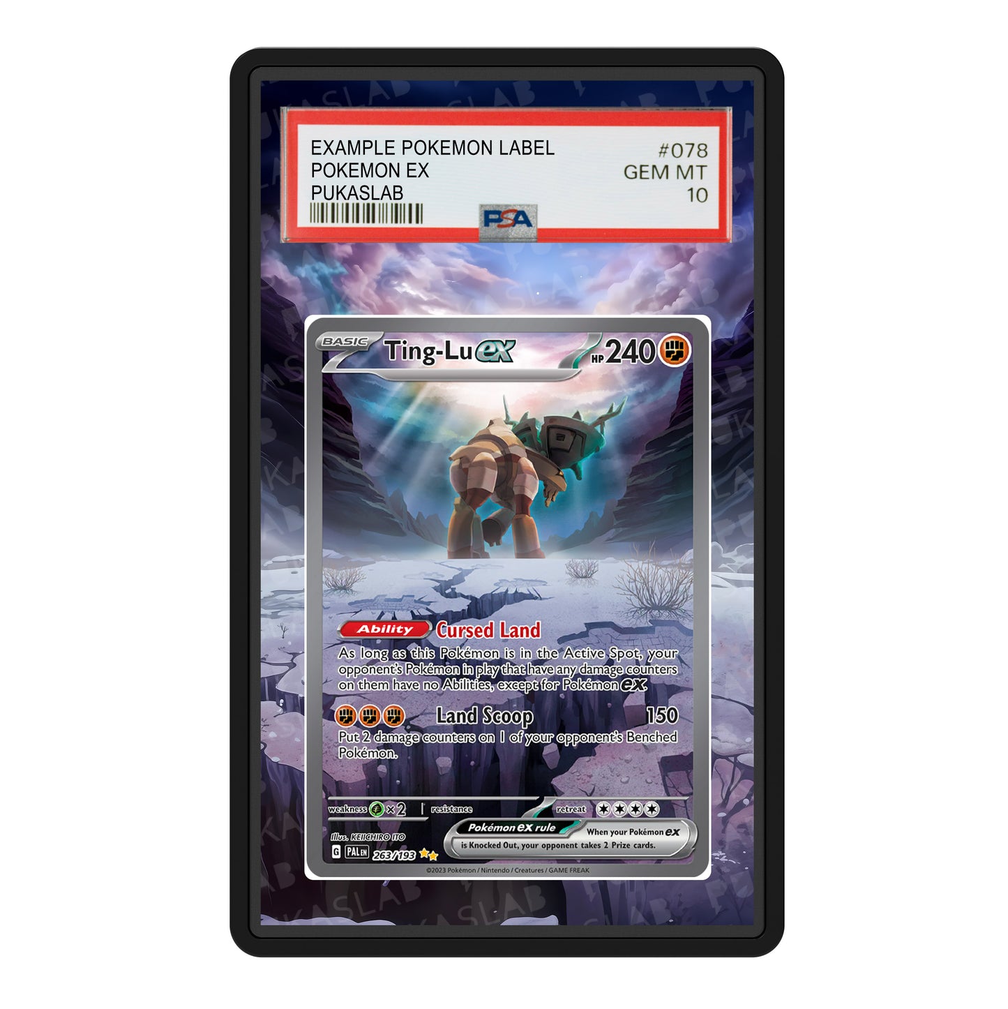 Ting-Lu Ex 263/193 Psa Slab Extended Art - Pukaslab