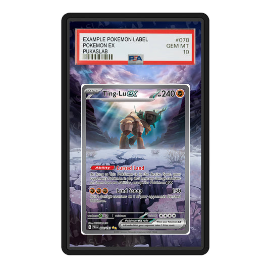 Ting-Lu Ex 263/193 Psa Slab Extended Art - Pukaslab