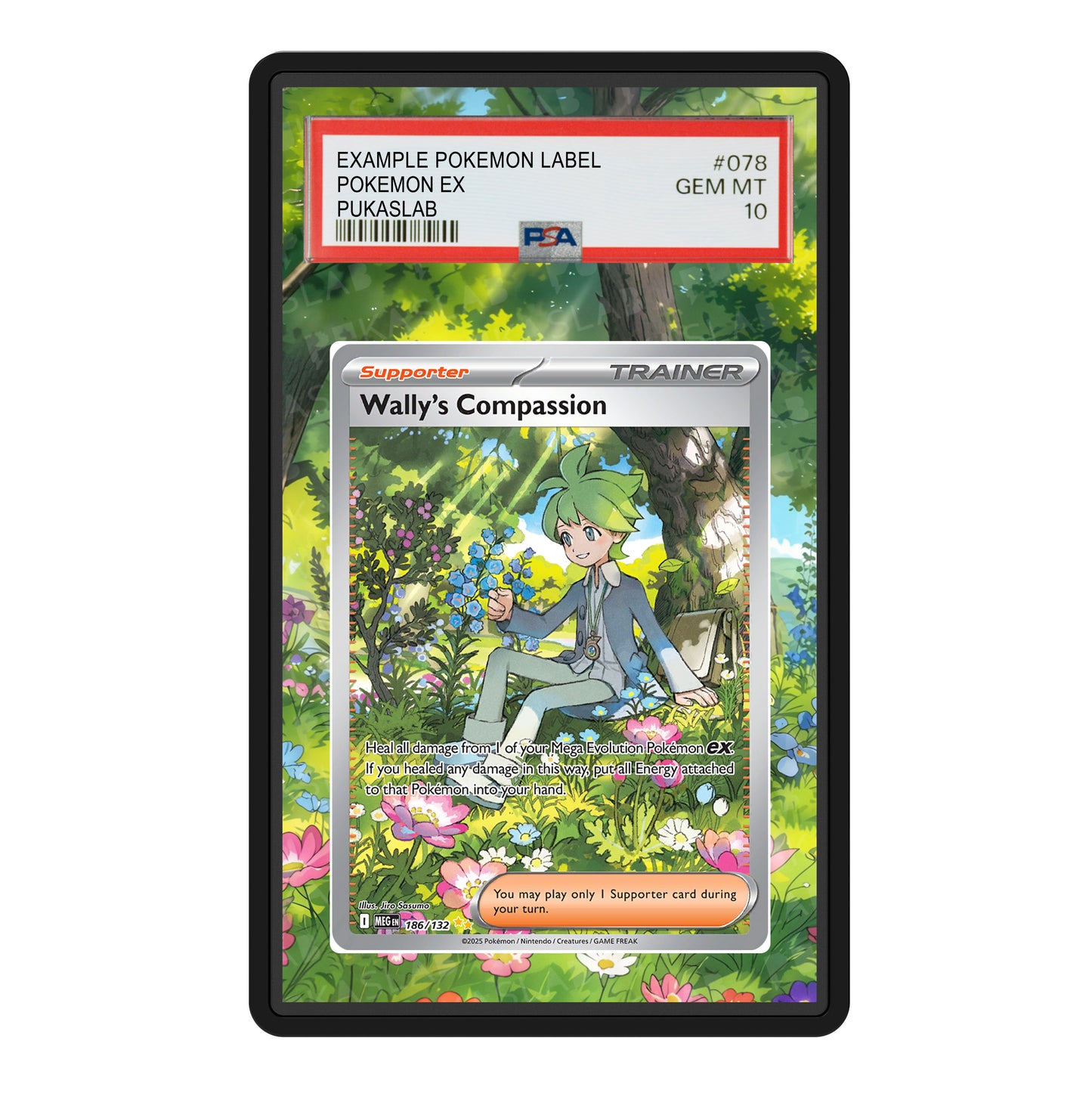 Wally 's Compassion Trainer 186/132 Psa Slab Extended Art - Pukaslab