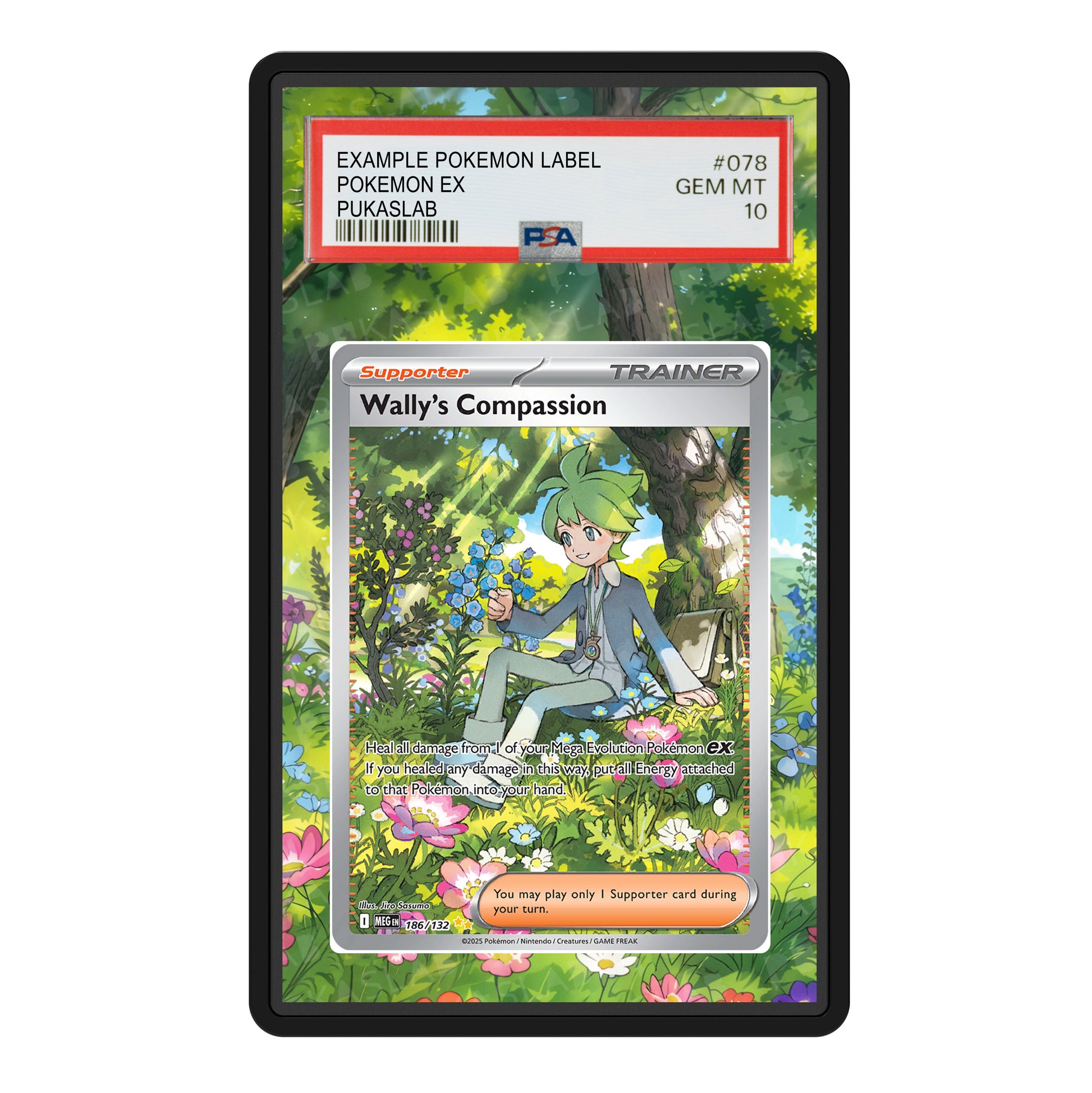 Wally 's Compassion Trainer 186/132 Psa Slab Extended Art - Pukaslab