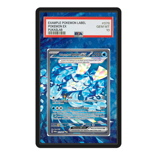Wellspring Mask Ogerpon EX 213/167 Psa Slab Extended Art - Pukaslab