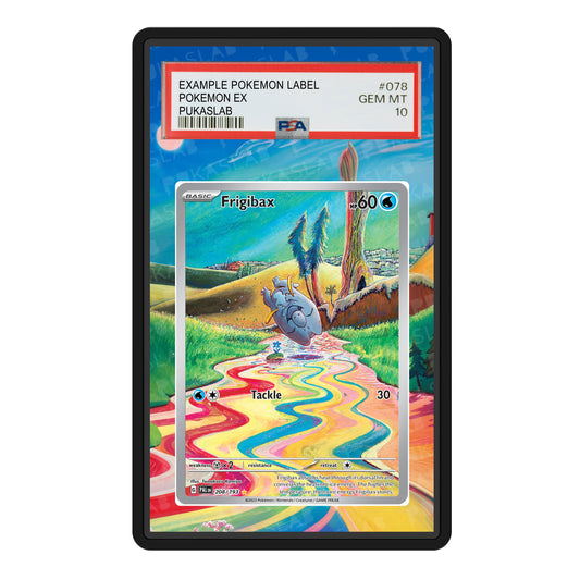Frigibax 208/193 Psa Slab Extended Art - Pukaslab