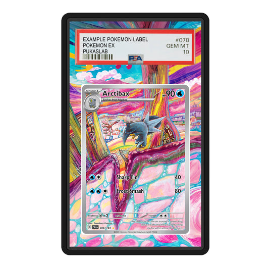 Arctibax 209/193 Psa Slab Extended Art - Pukaslab