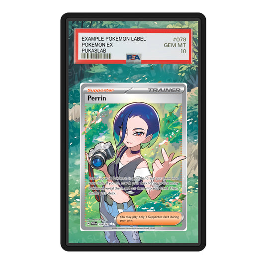 Perrin Trainer 209/167 Psa Slab Extended Art - Pukaslab