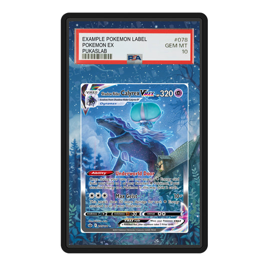 Calyrex Vmax 205/198 Psa Slab Extended Art - Pukaslab