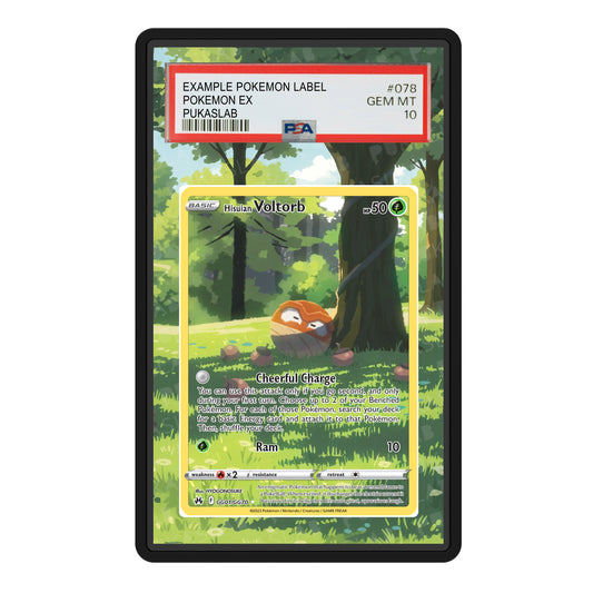 Voltorb GG01/GG70 Psa Slab Extended Art - Pukaslab