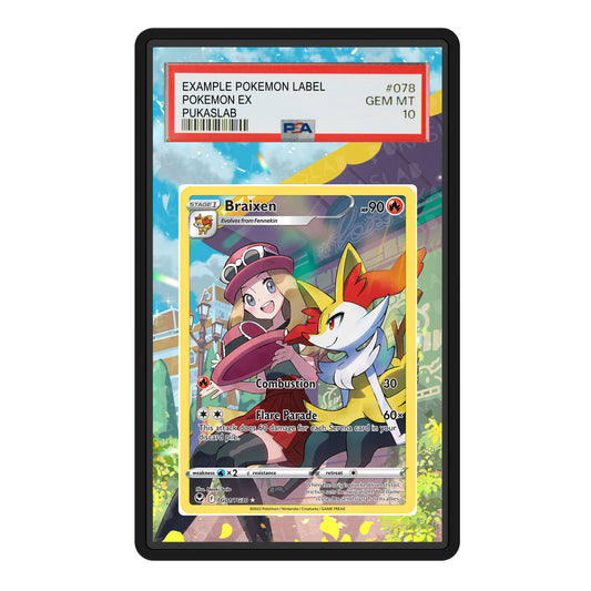 Braixen TG01/TG30 Psa Slab Extended Art - Pukaslab