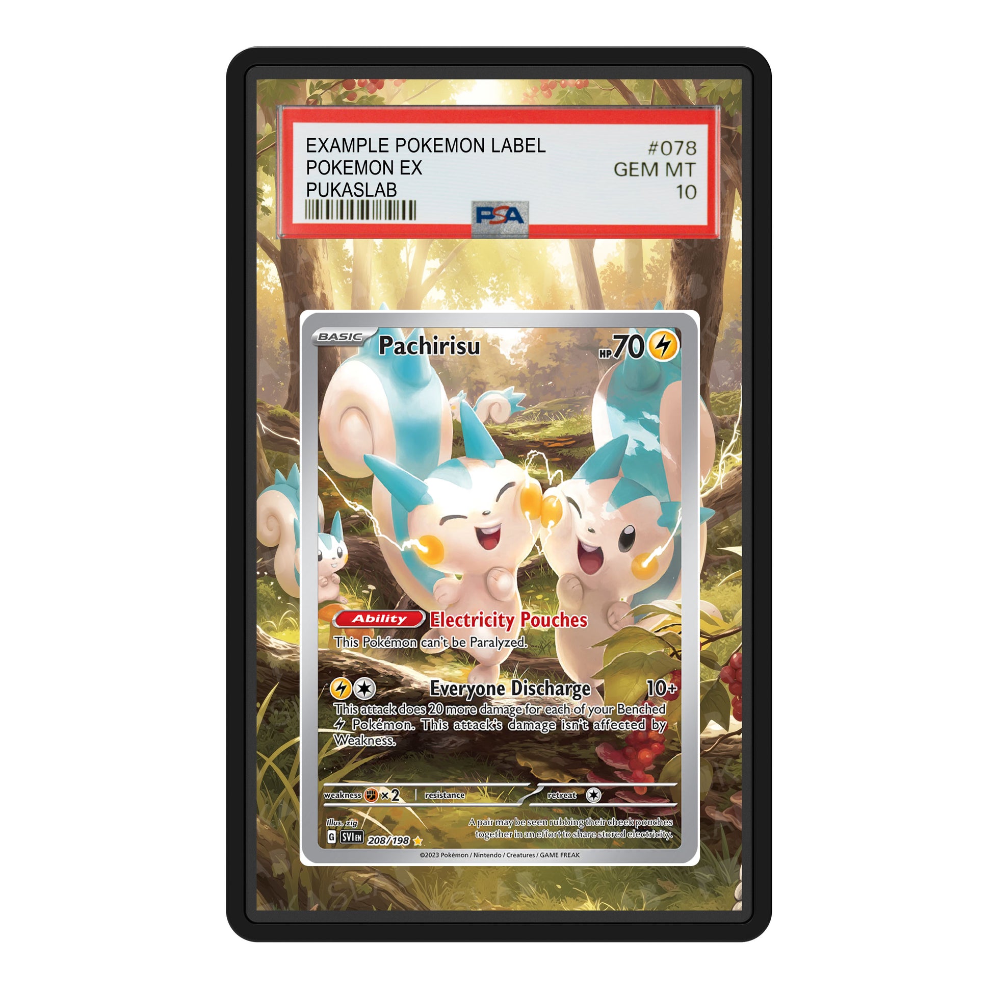 Pachirisu 208/198 Psa Slab Extended Art - Pukaslab