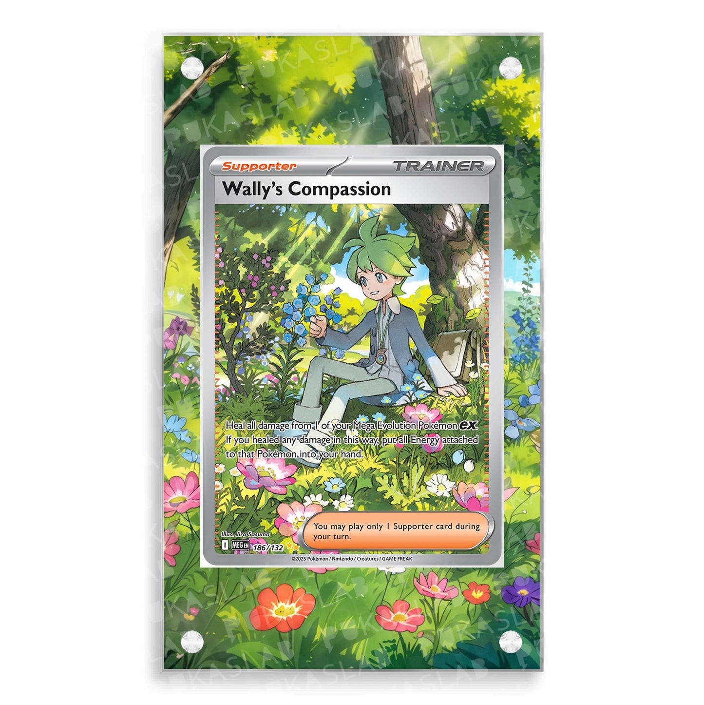 Wally 's Compassion Trainer 186/132 Extended Art - Pukaslab