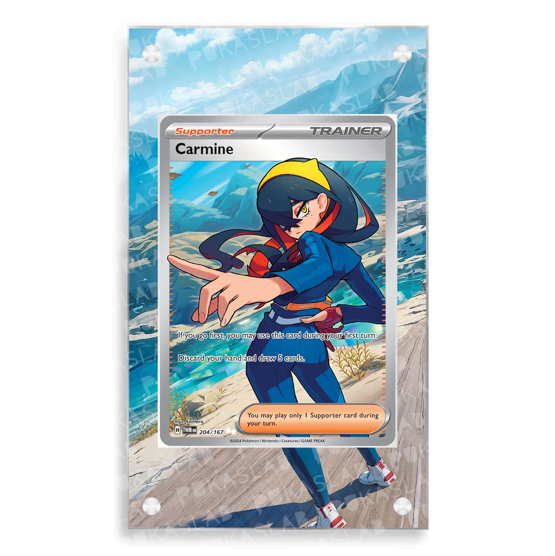 Carmine Trainer 204/167 Extended Art - Pukaslab