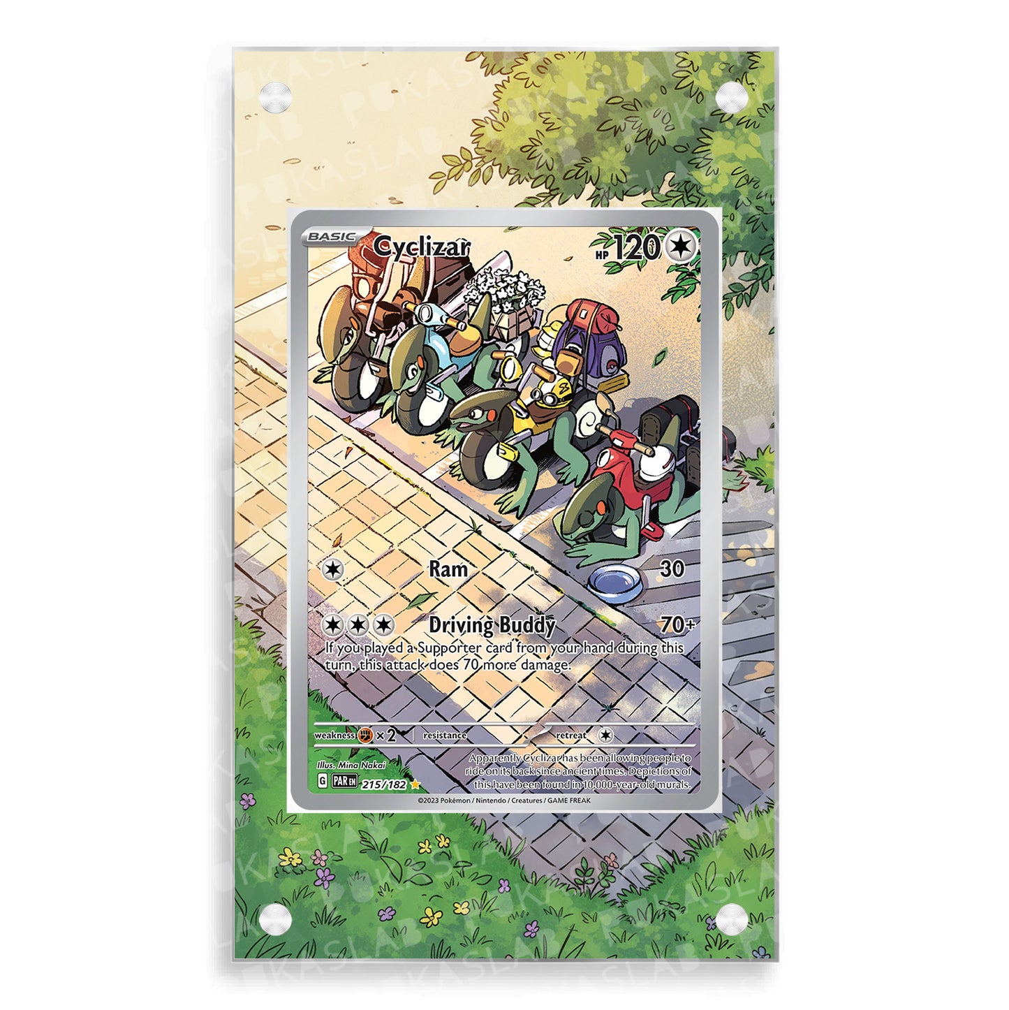 Cyclizar 215/182 Extended Art - Pukaslab