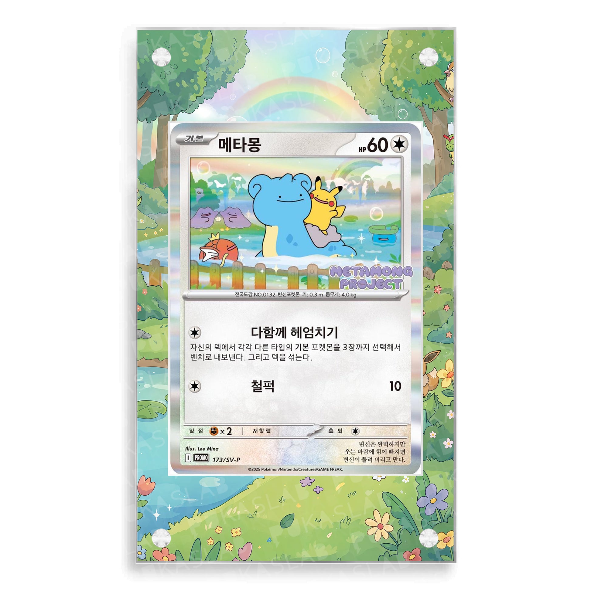 Ditto  173/SV-P Extended Art - Pukaslab