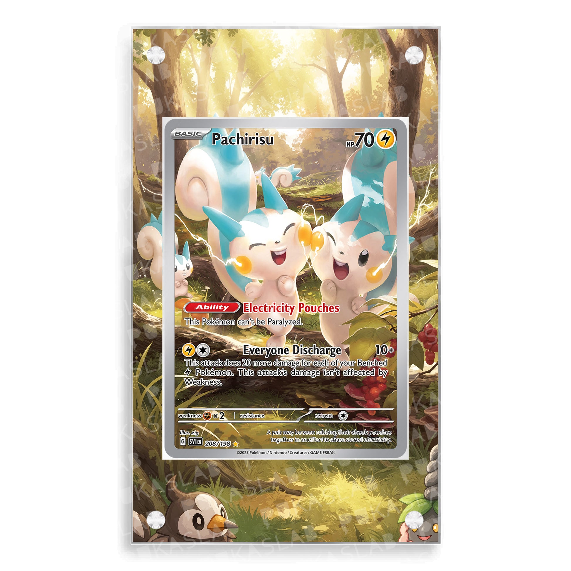 Pachirisu 208/198 Extended Art - Pukaslab
