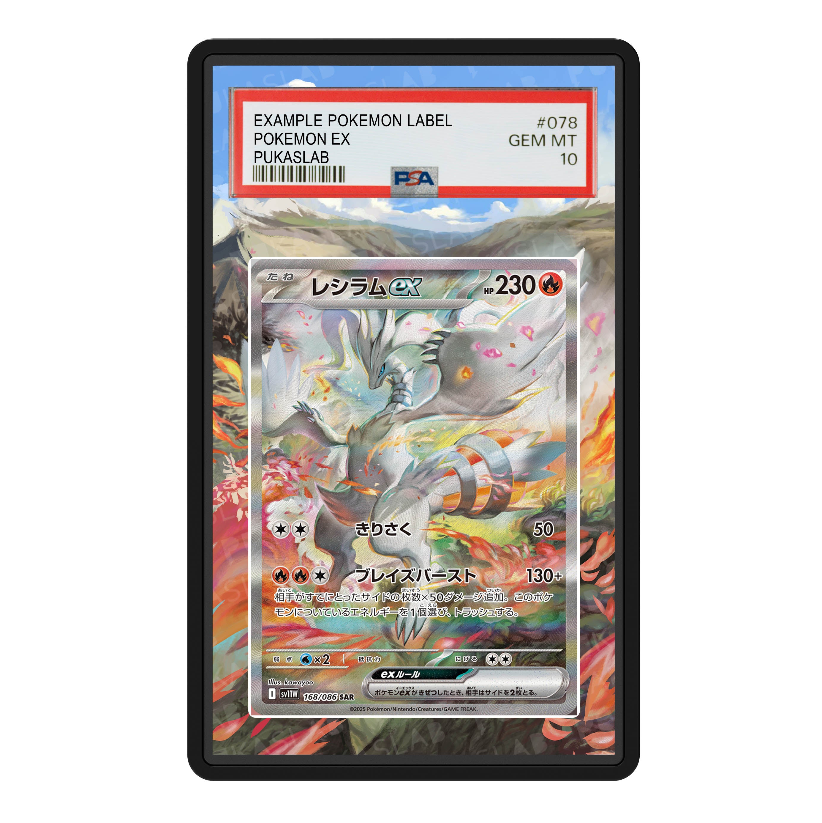 Reshiram Ex 168/086 PSA Slab Extended Art Aluminum Case – Pokemon Grad ...