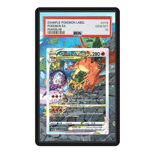 Charizard SWSH262 Psa Slab Extended Art - Pukaslab