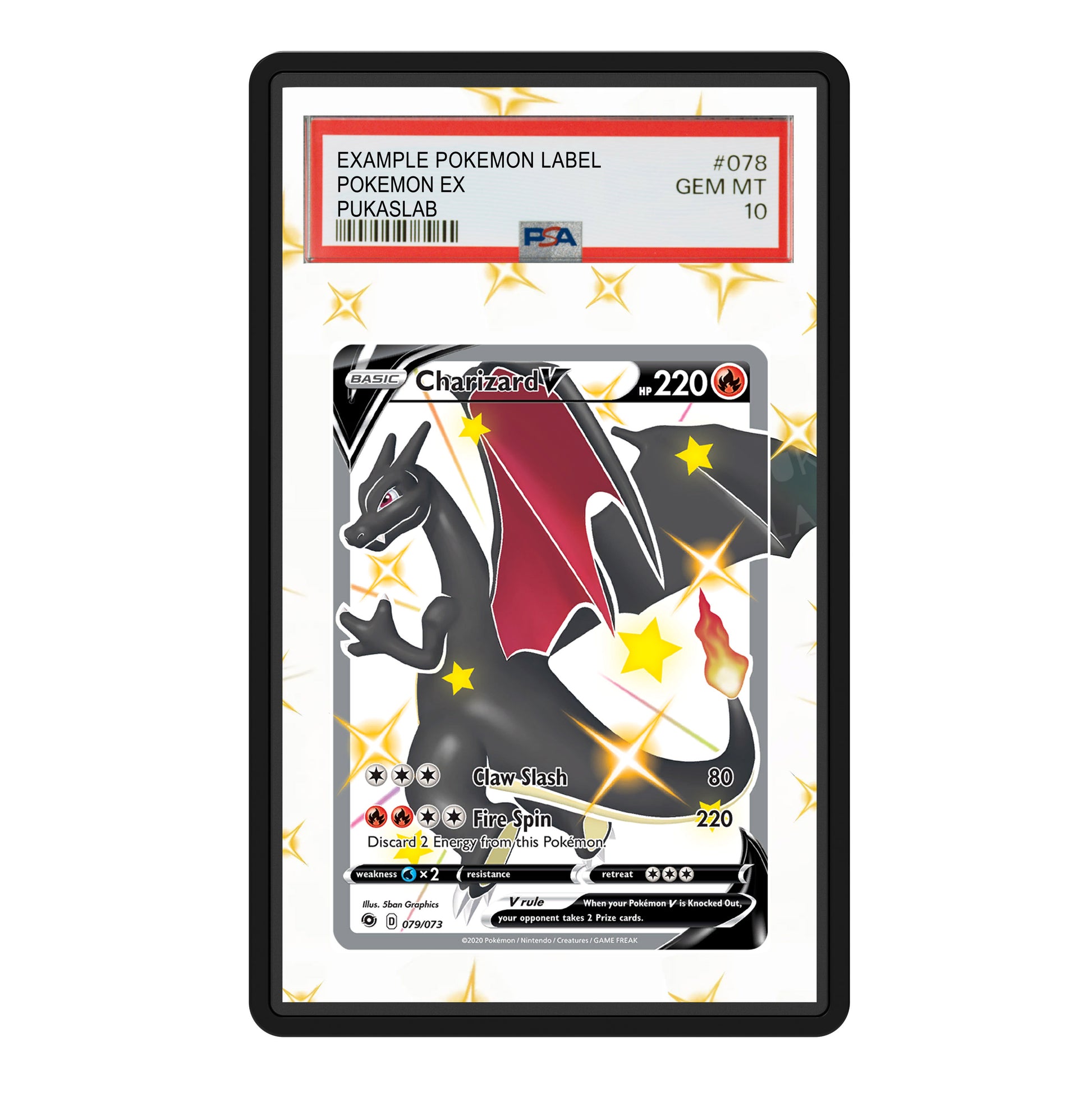 Charizard V 079/073 Psa Slab Extended Art - Pukaslab