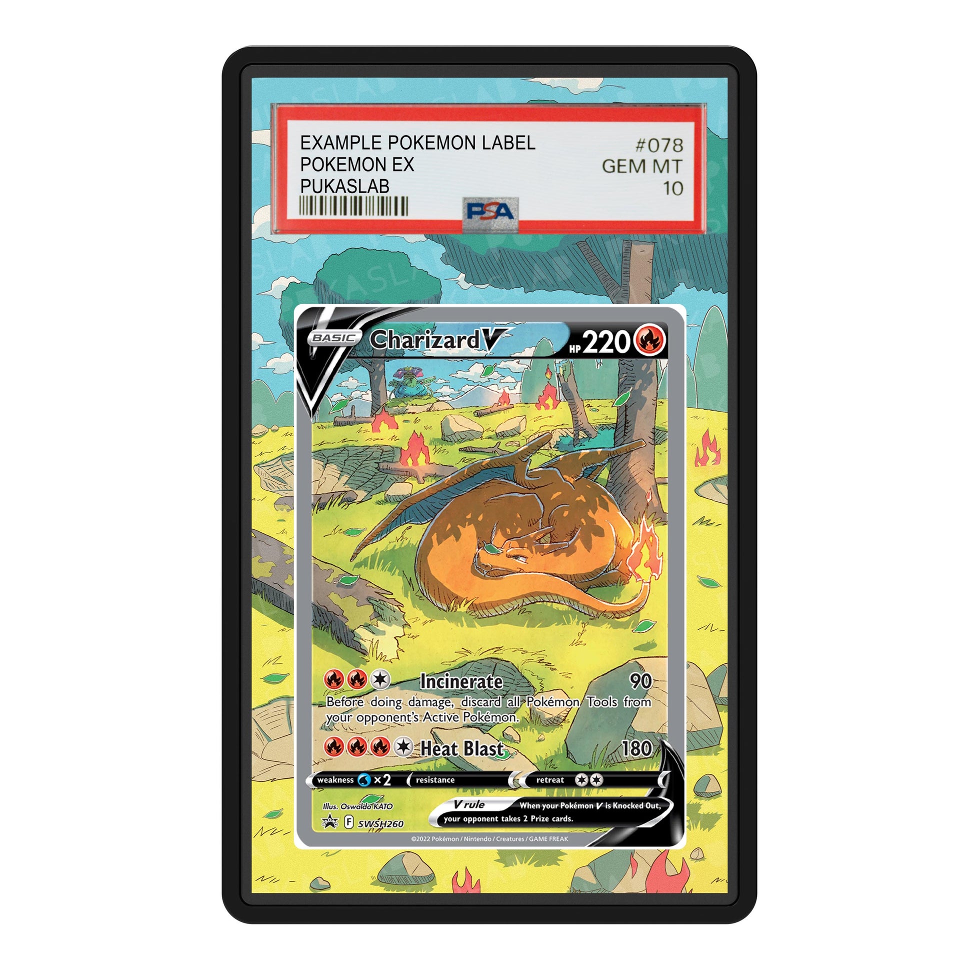 Charizard SWSH260 Psa Slab Extended Art - Pukaslab